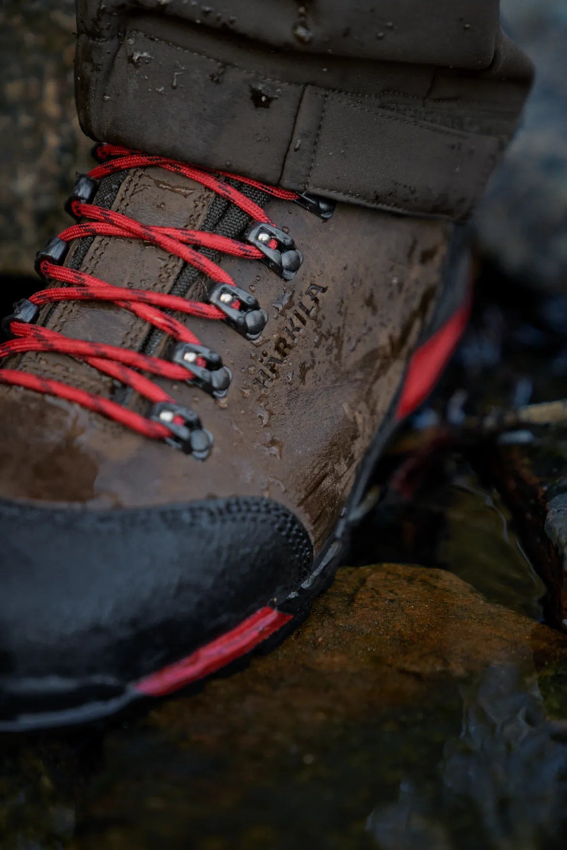 Forest Hunter Mid GTX - Dark brown - Härkila