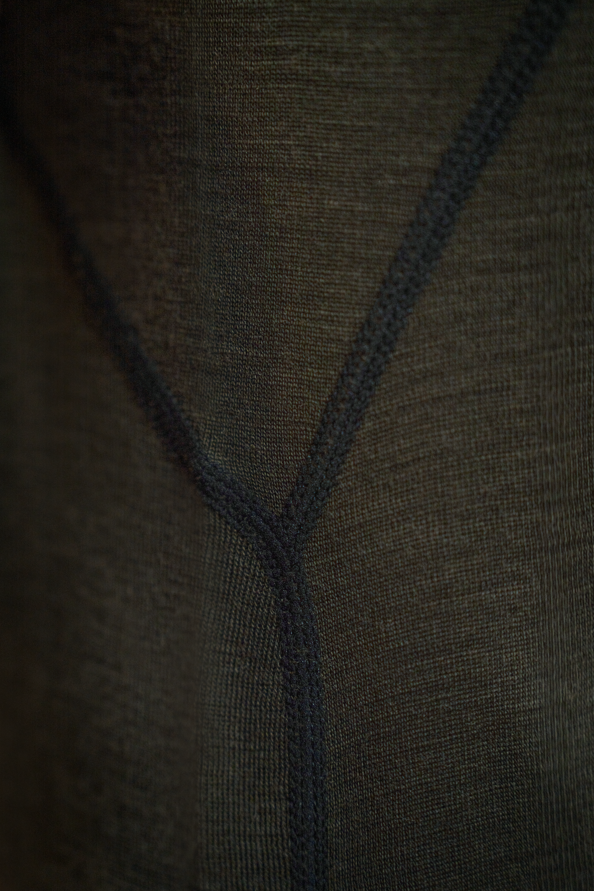 Apex One Hundred L/S T-shirt - Pine green