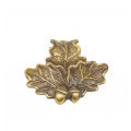 Vildsvin tand cover Cover