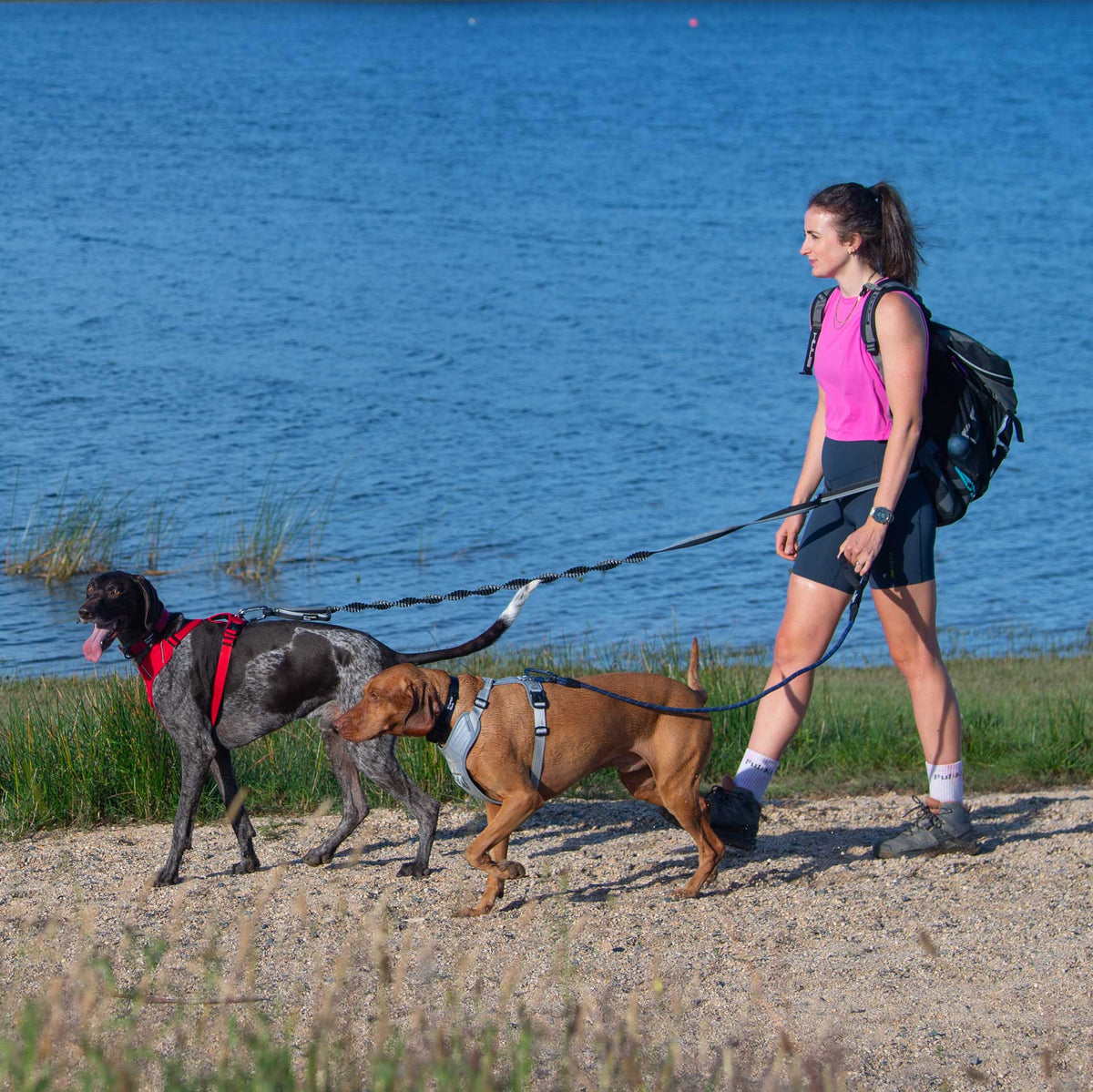 Shock Absorber Dog Lead, Black - Mountain Paws