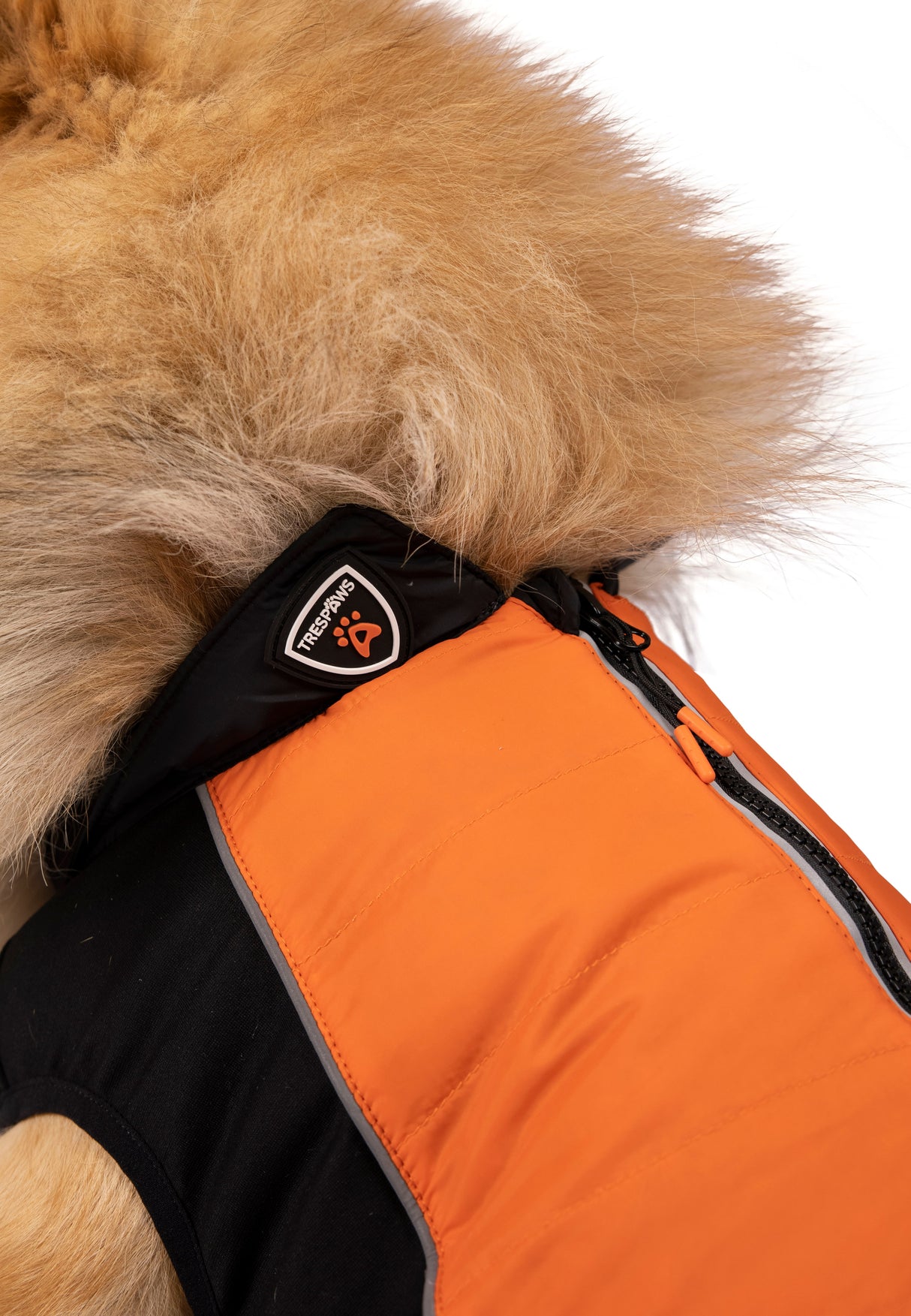 Beedle - Black/ Burnt Orange - Trespass
