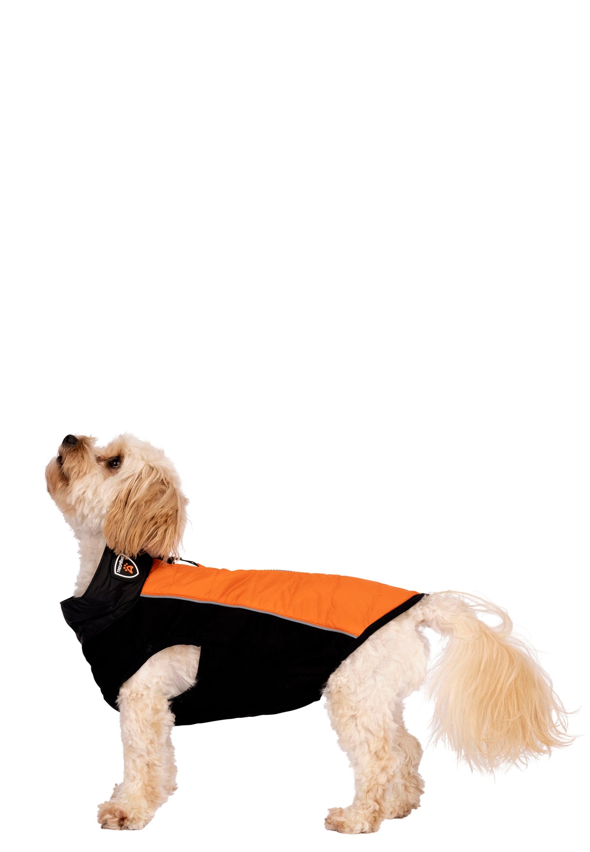 Beedle - Black/ Burnt Orange - Trespass
