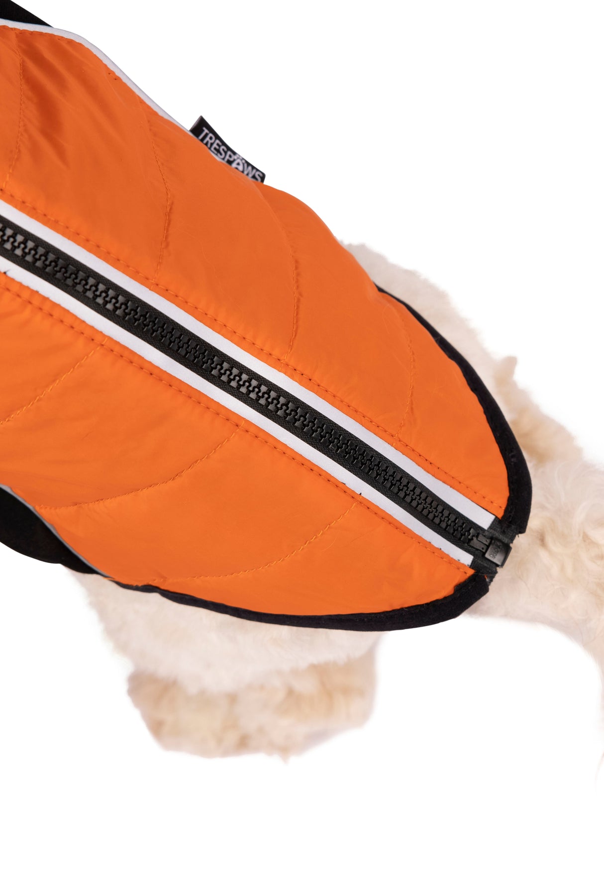 Beedle - Black/ Burnt Orange - Trespass
