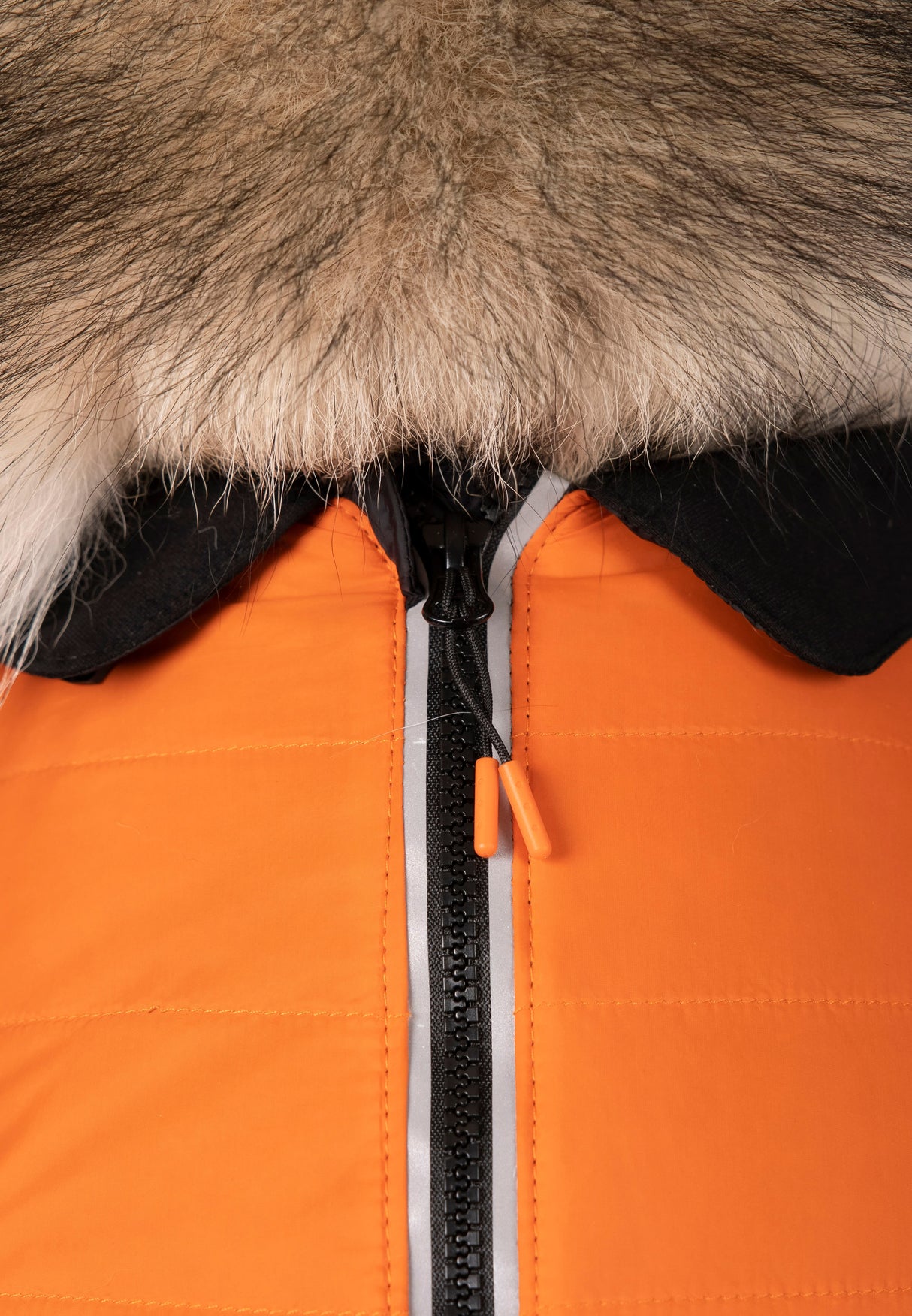 Beedle - Black/ Burnt Orange - Trespass