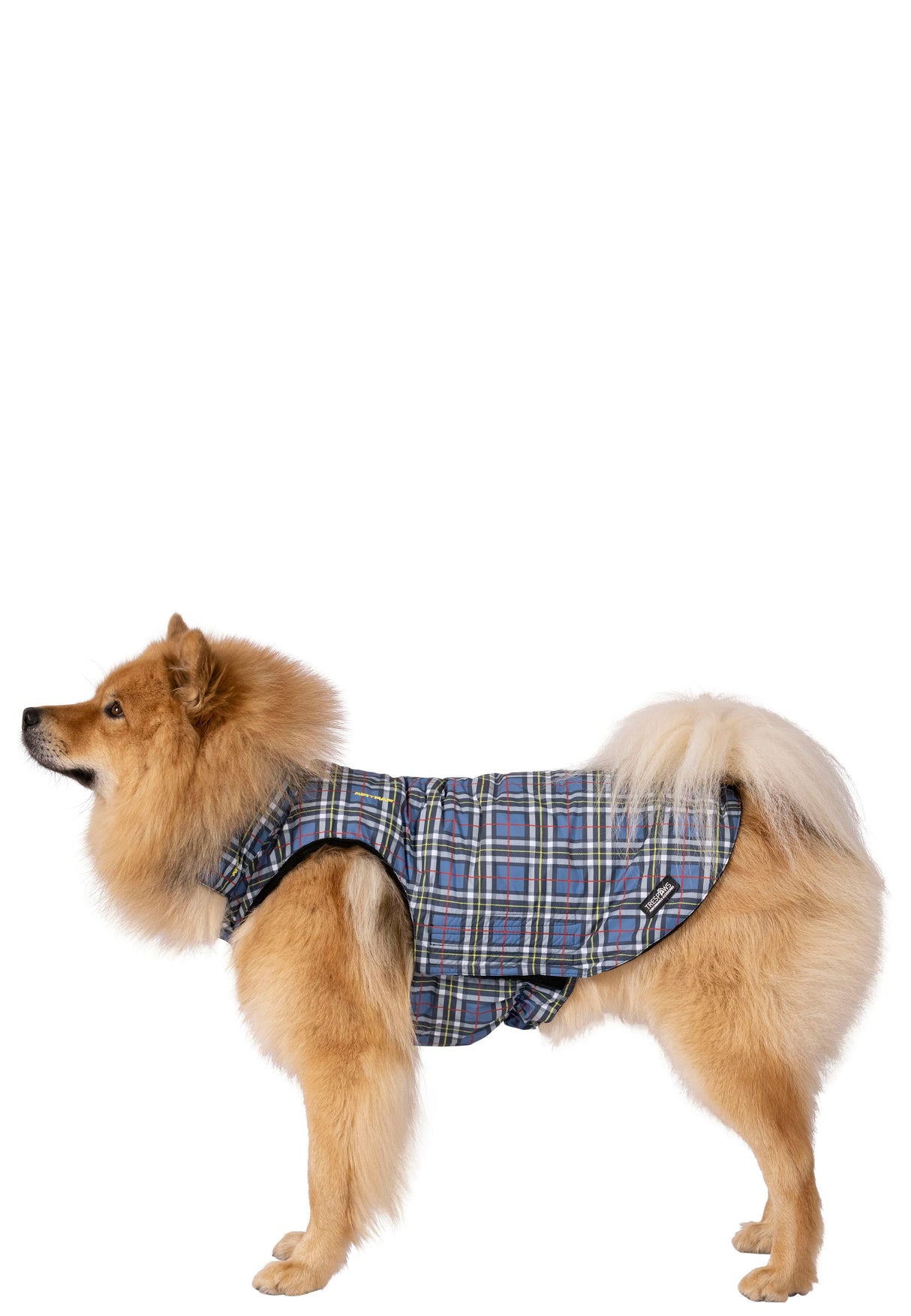 Charly - Tartan Print - Trespass