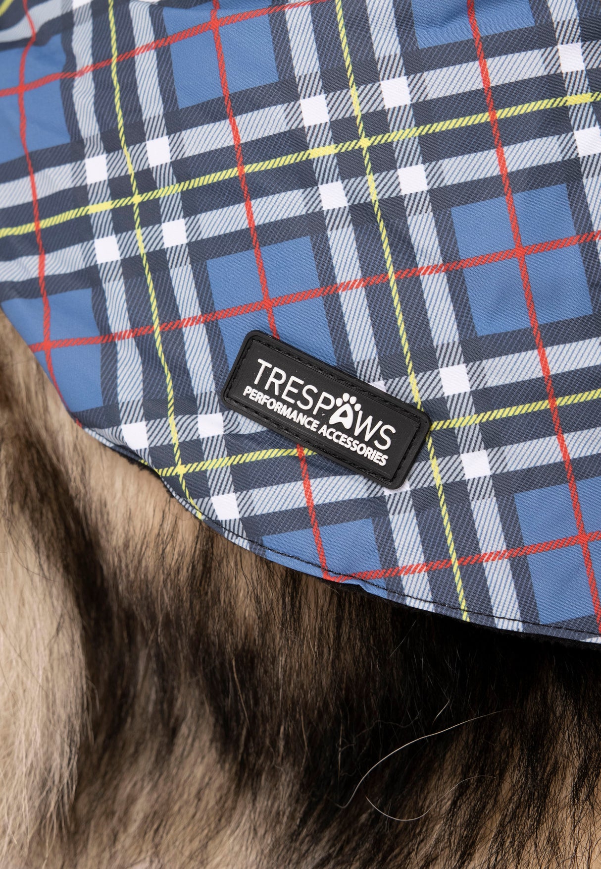 Charly - Tartan Print - Trespass