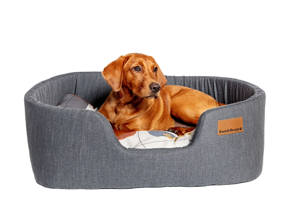 Colour Block Steel Lux Slumber Bed M