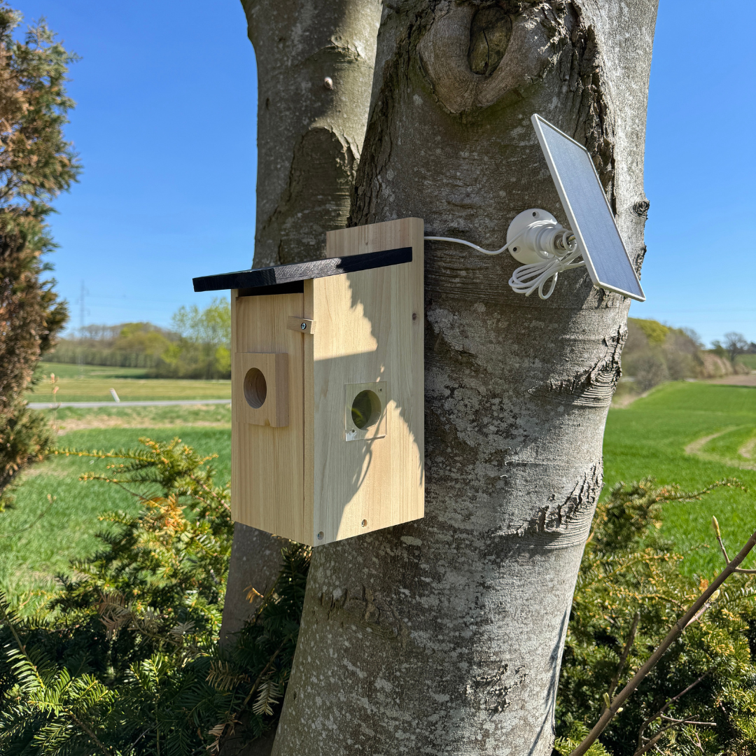 Fuglehus med kamera