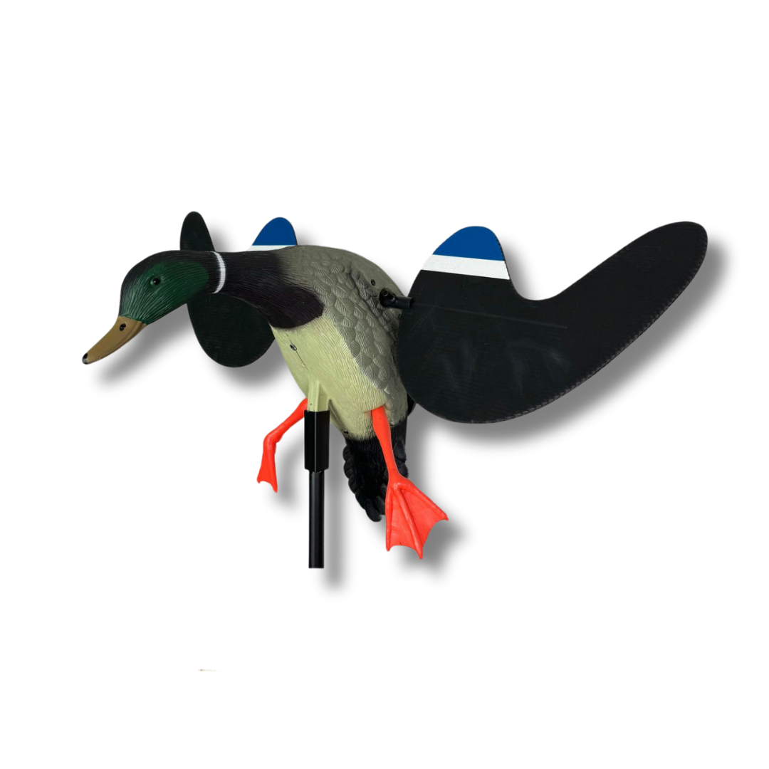 Spinning wing - Gråand andrik - HuntElite