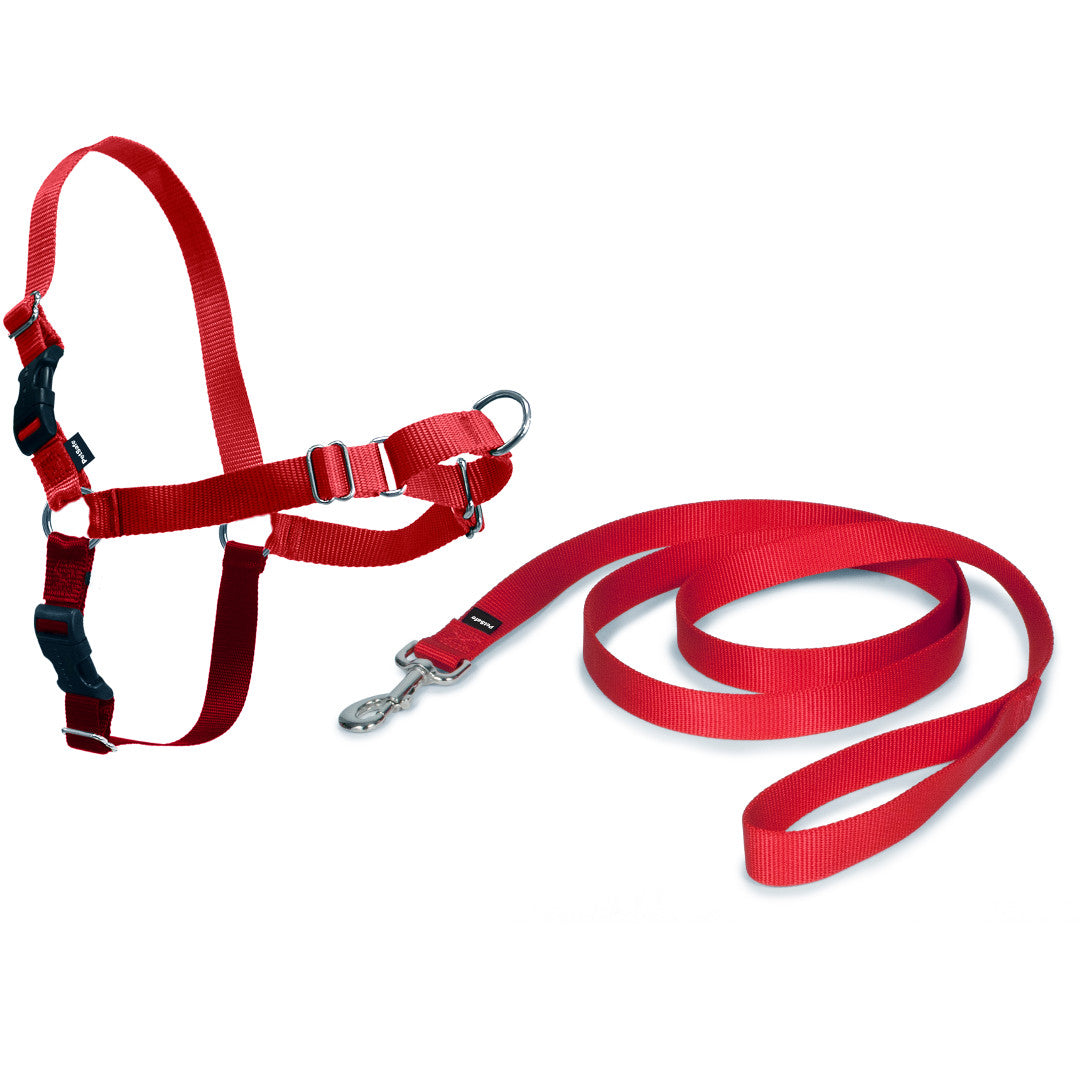 Easy Walk Harness, sort - PROF DOG