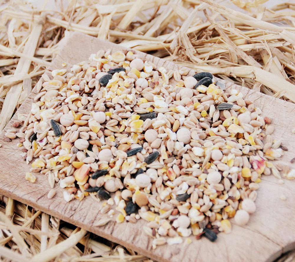 Rehofix Granulat majskolbe. 1 kg - pris pr. kg 2