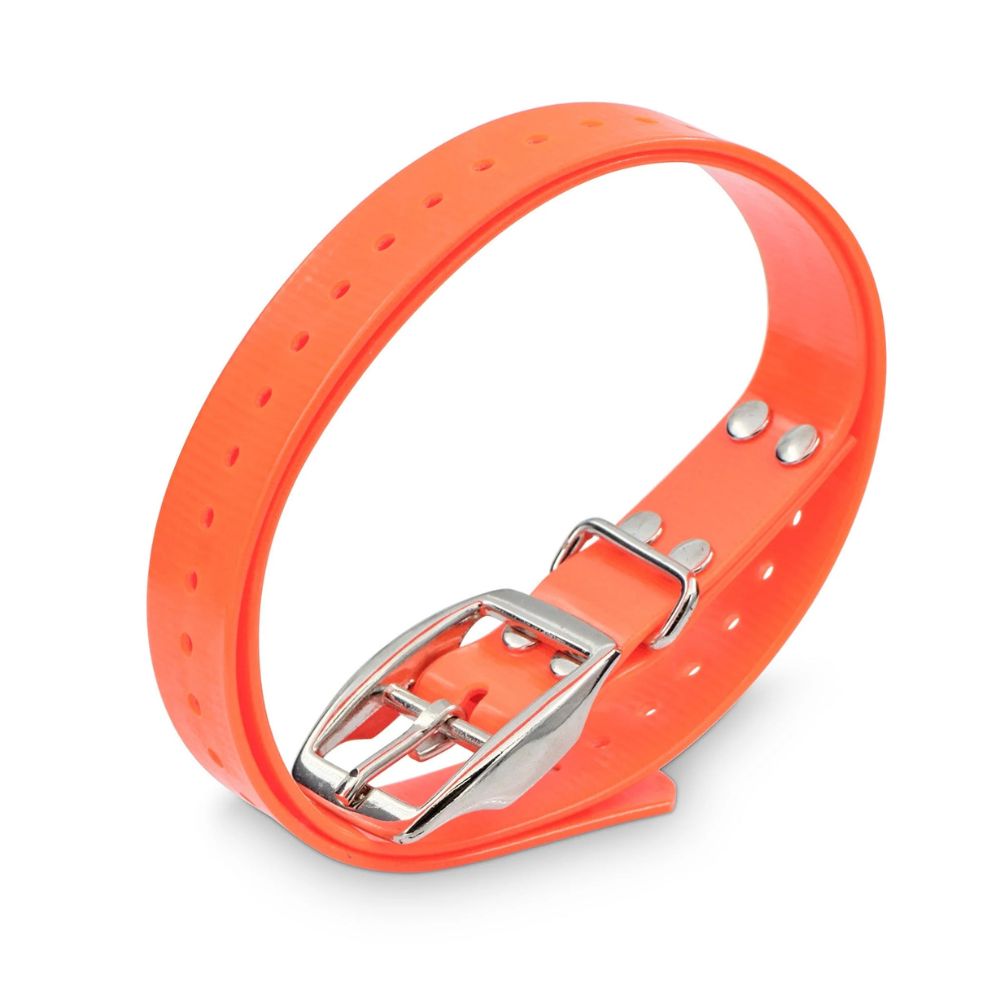 1" halsbåndsrem, firkantet spænde (orange) 3