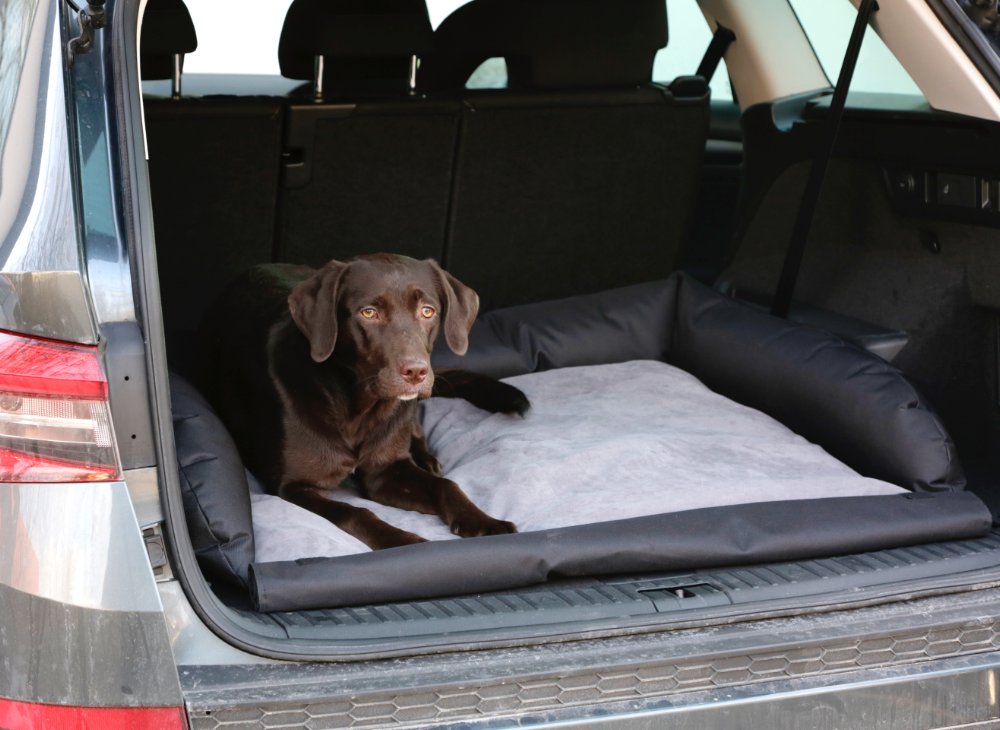 Hundeseng til bilen - 95x75cm