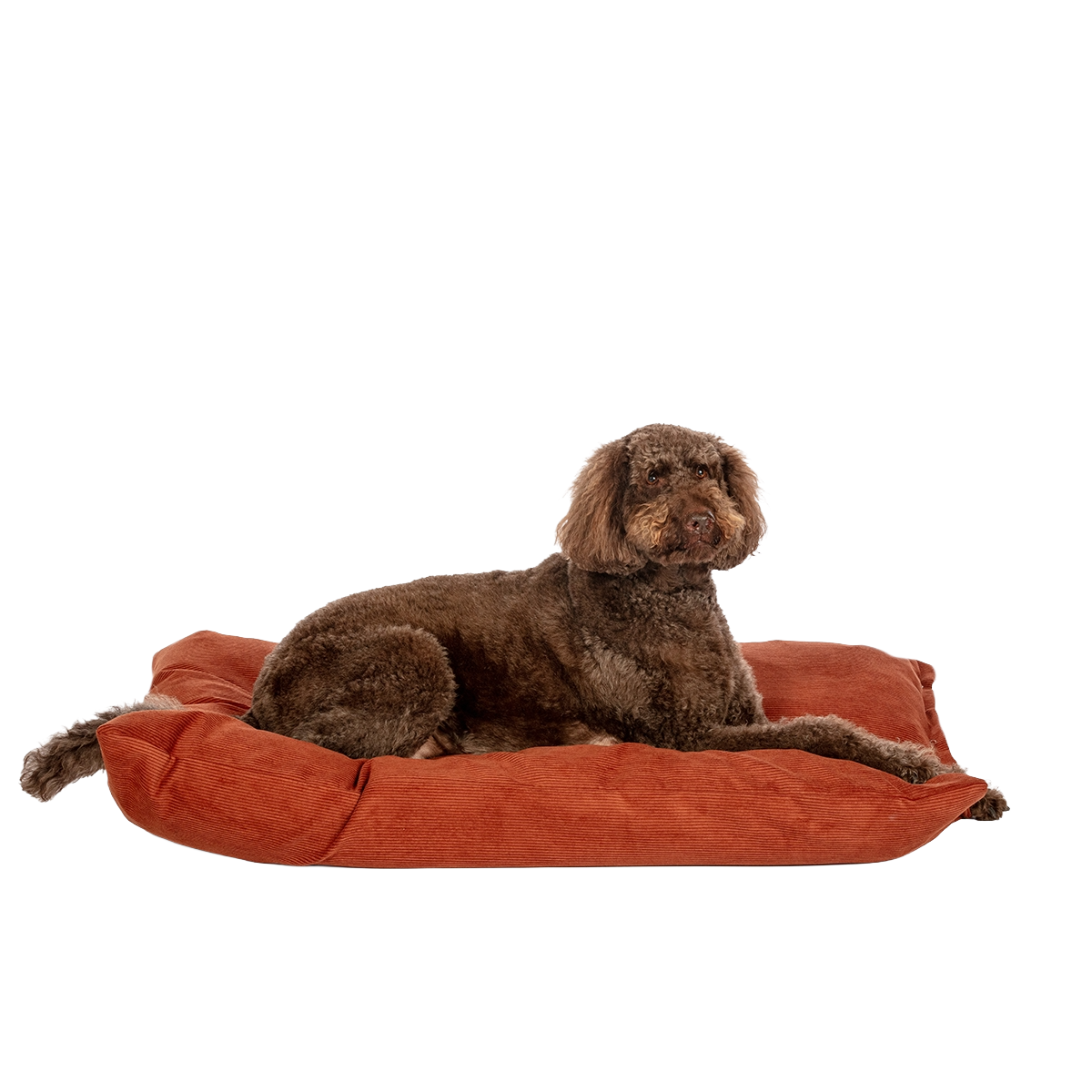 D.D. Elden Rust Deep Duvet M
