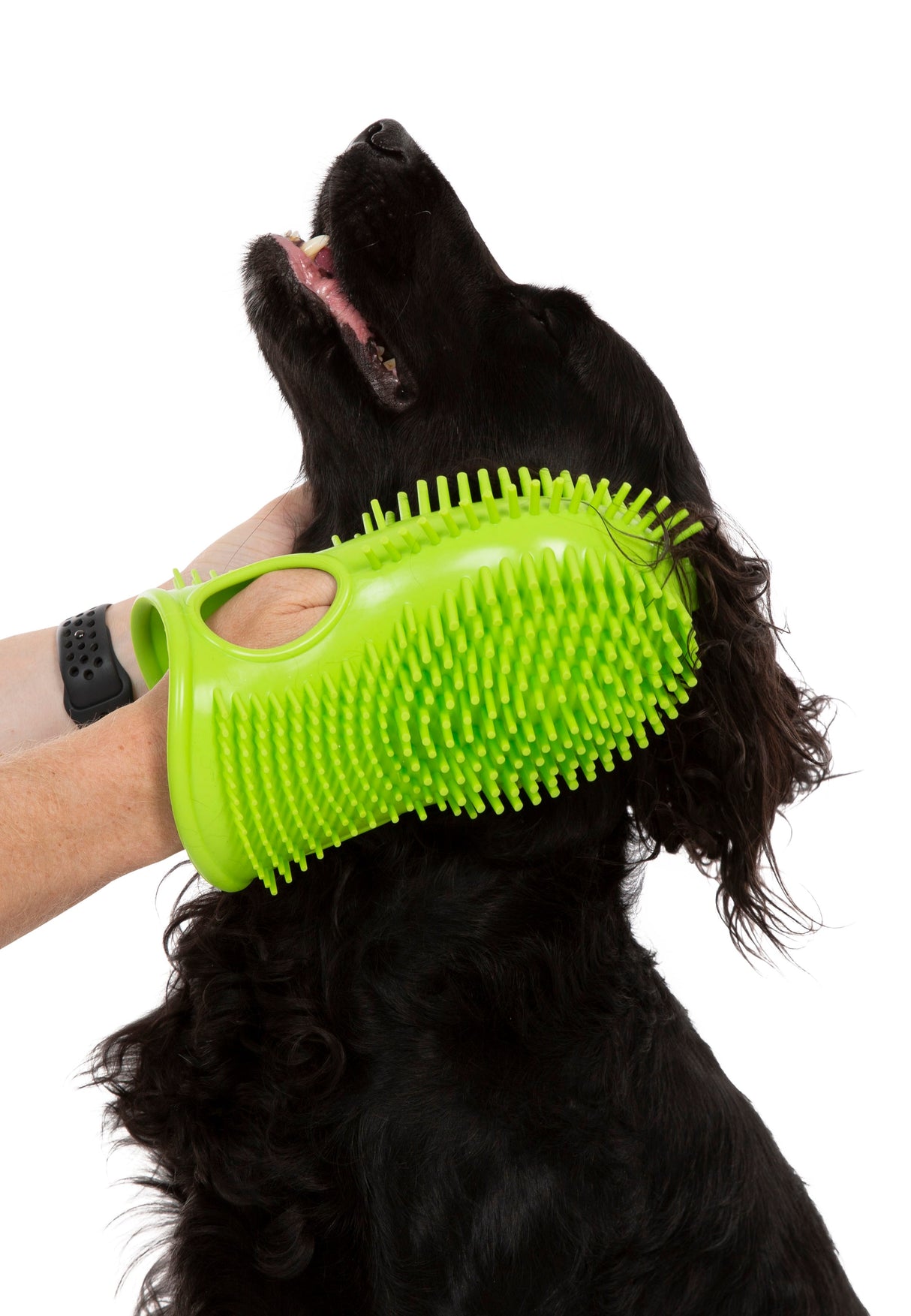 Mucky - Lime - Trespass