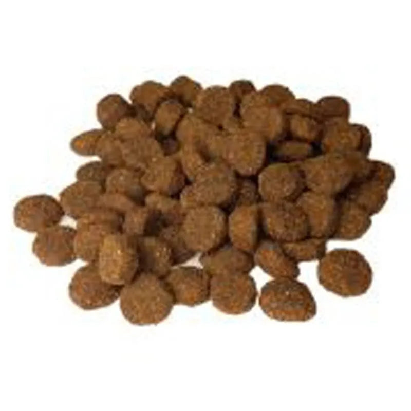 HundefoderArctic 12 kg