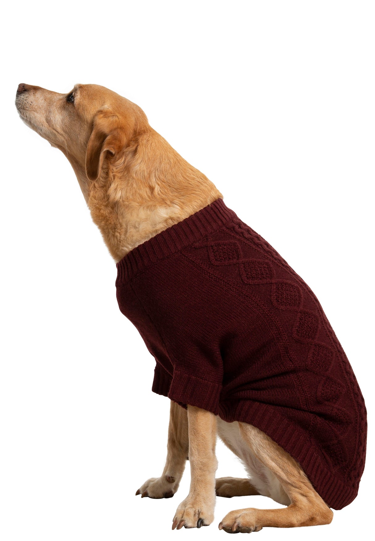 Snowhound - Merlot - Trespass