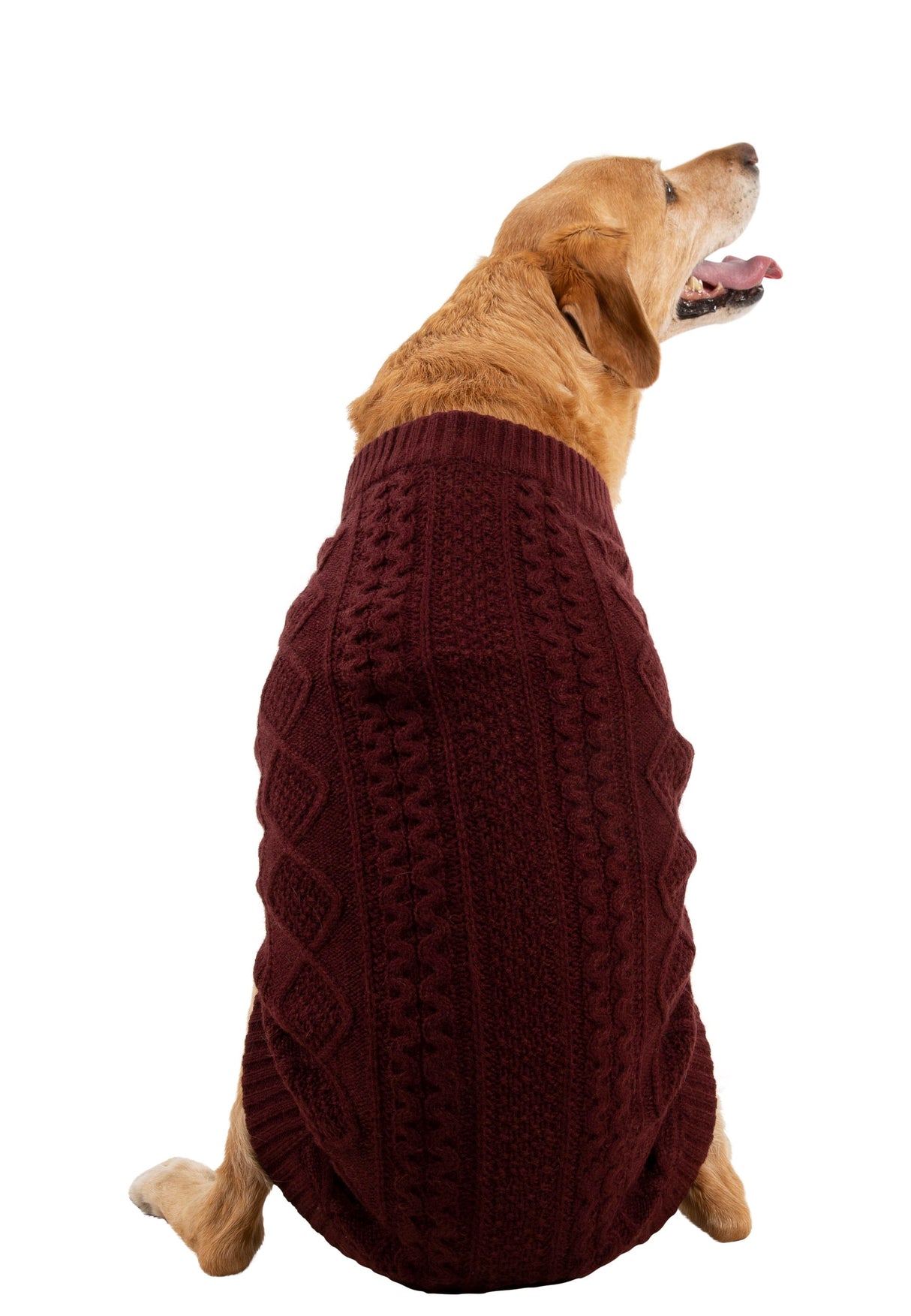 Snowhound - Merlot - Trespass