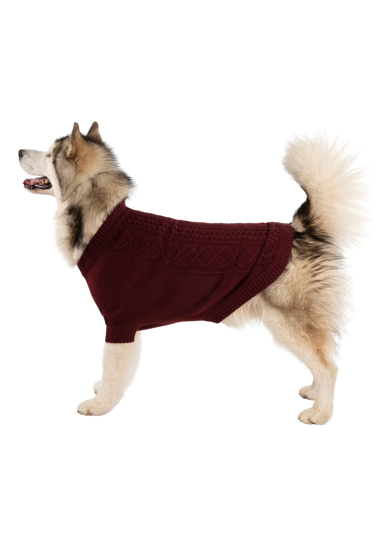 Snowhound - Merlot - Trespass