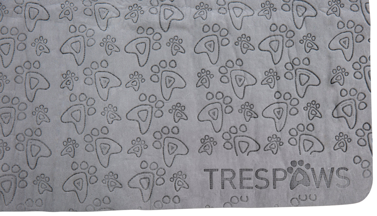 Sooty - Flint - Trespass
