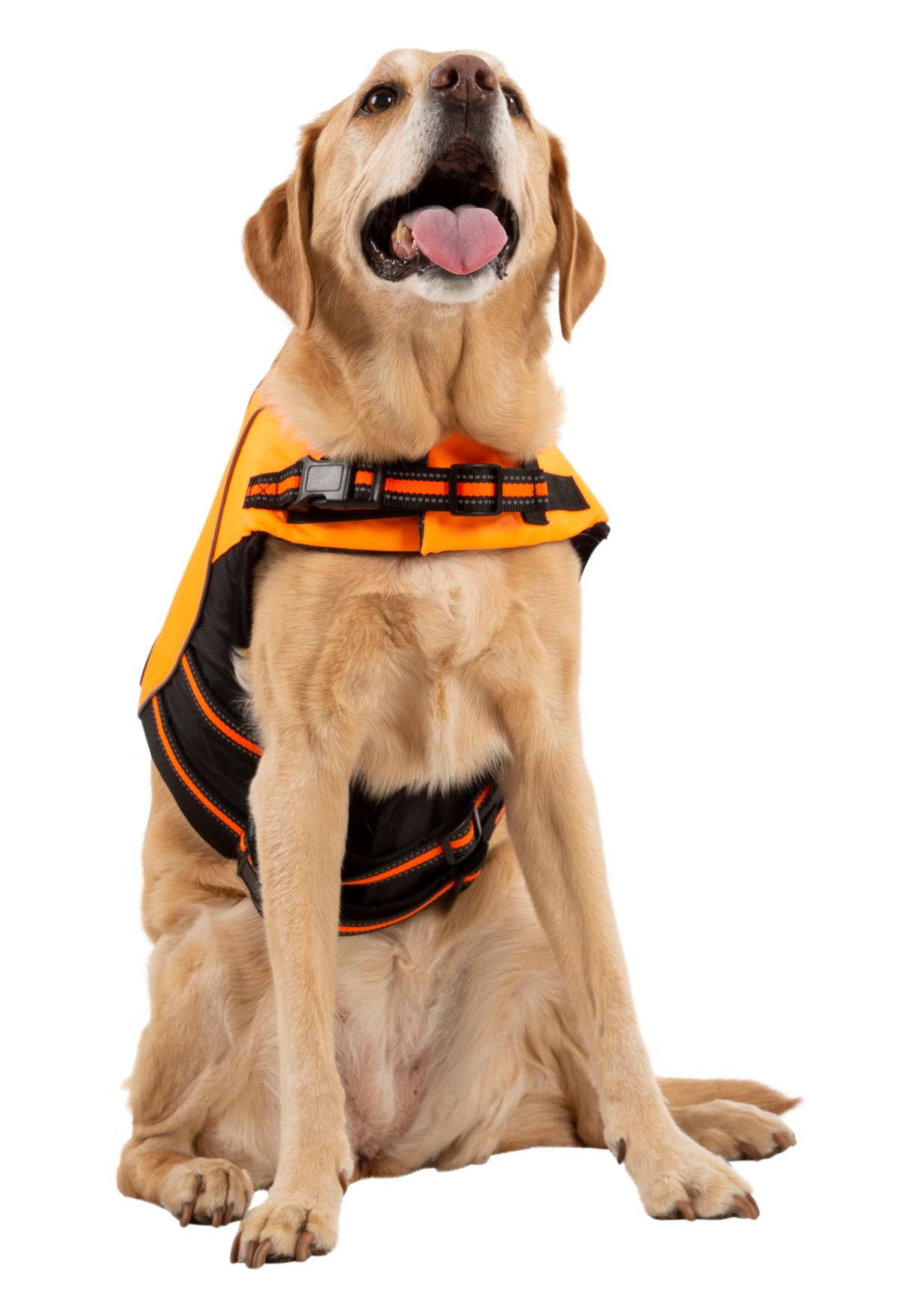 Surfdog - High Vis - Trespass