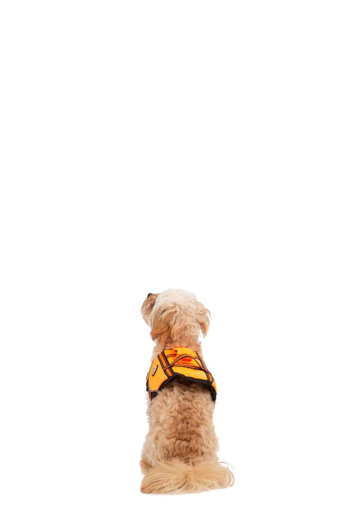 Surfdog - High Vis - Trespass
