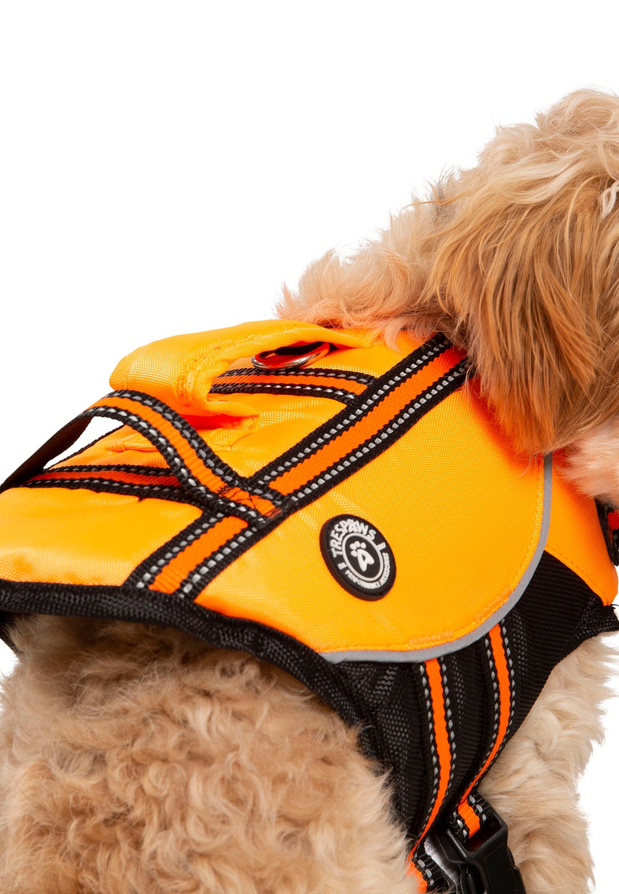 Surfdog - High Vis - Trespass