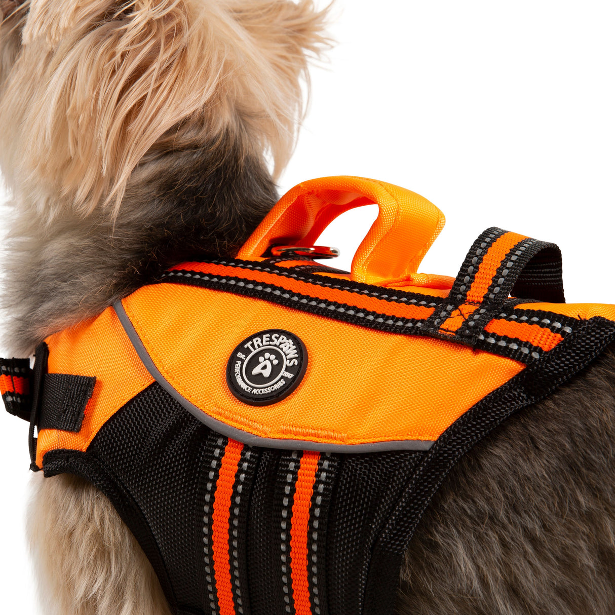 Surfdog - High Vis - Trespass