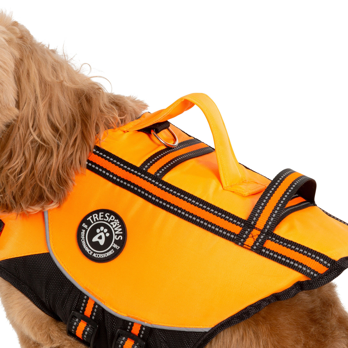 Surfdog - High Vis - Trespass