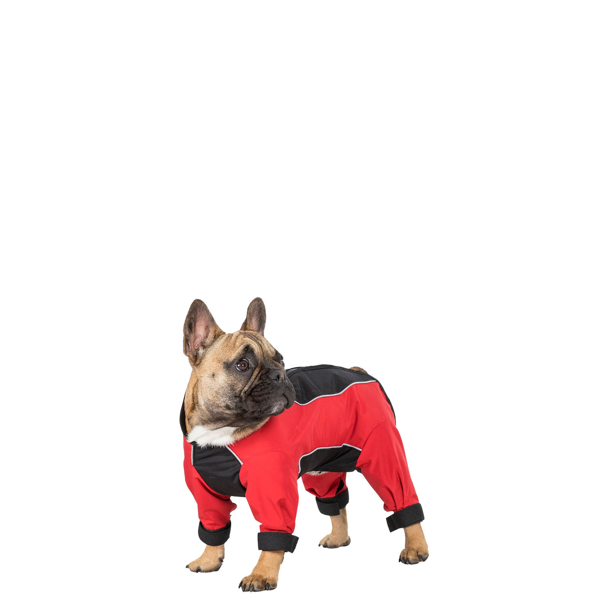 Tia - Black/red - Trespass