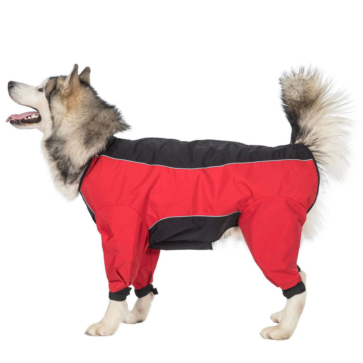 Tia - Black/red - Trespass