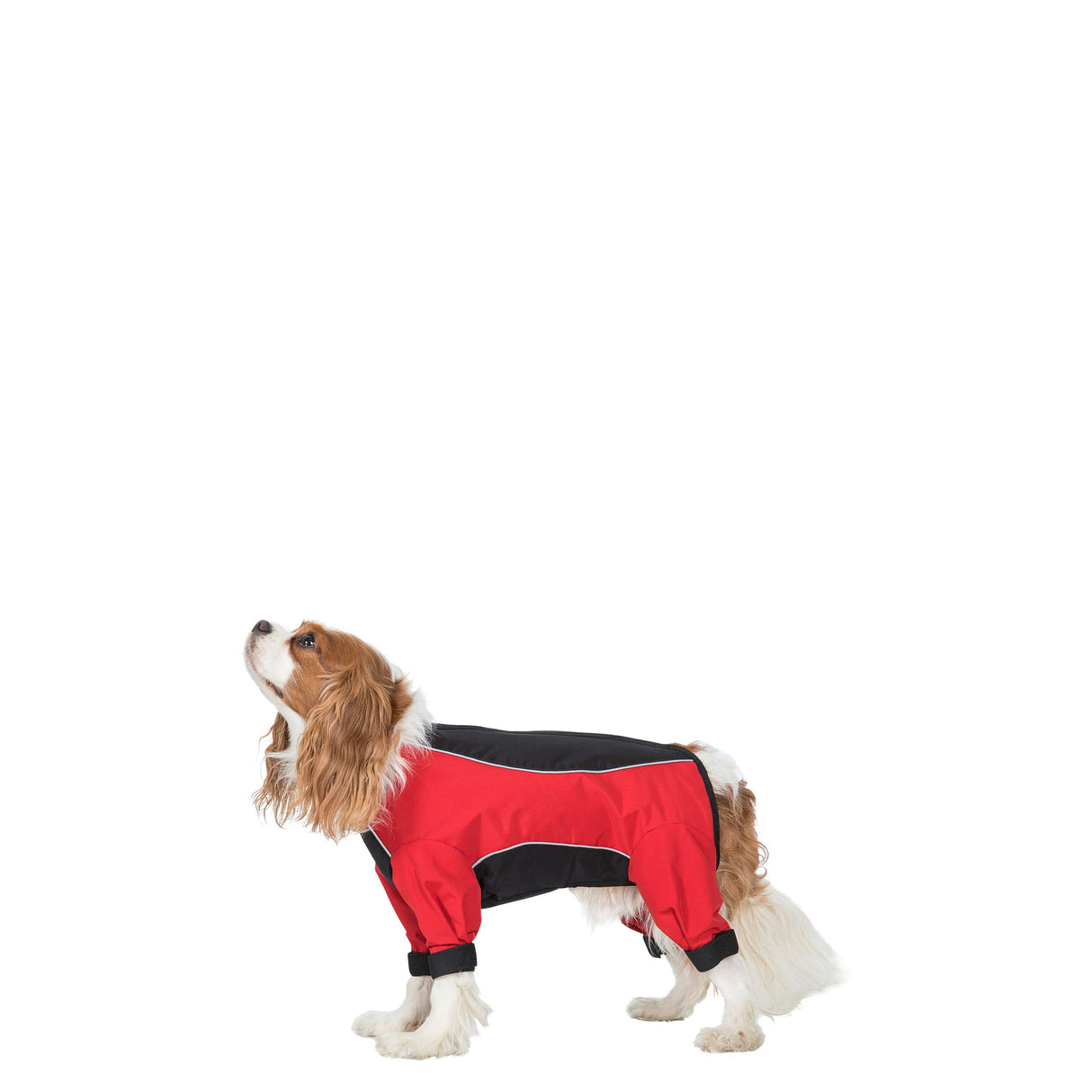 Tia - Black/red - Trespass