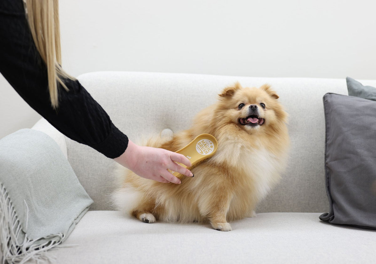 MagicBrush hunde børste soft