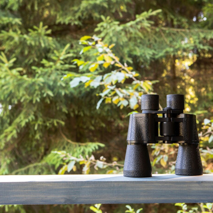 Kikkert til fugle: Find den perfekte optik til din næste fugletur
