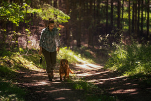 Larch stretch bukser Women - Pine green - Seeland