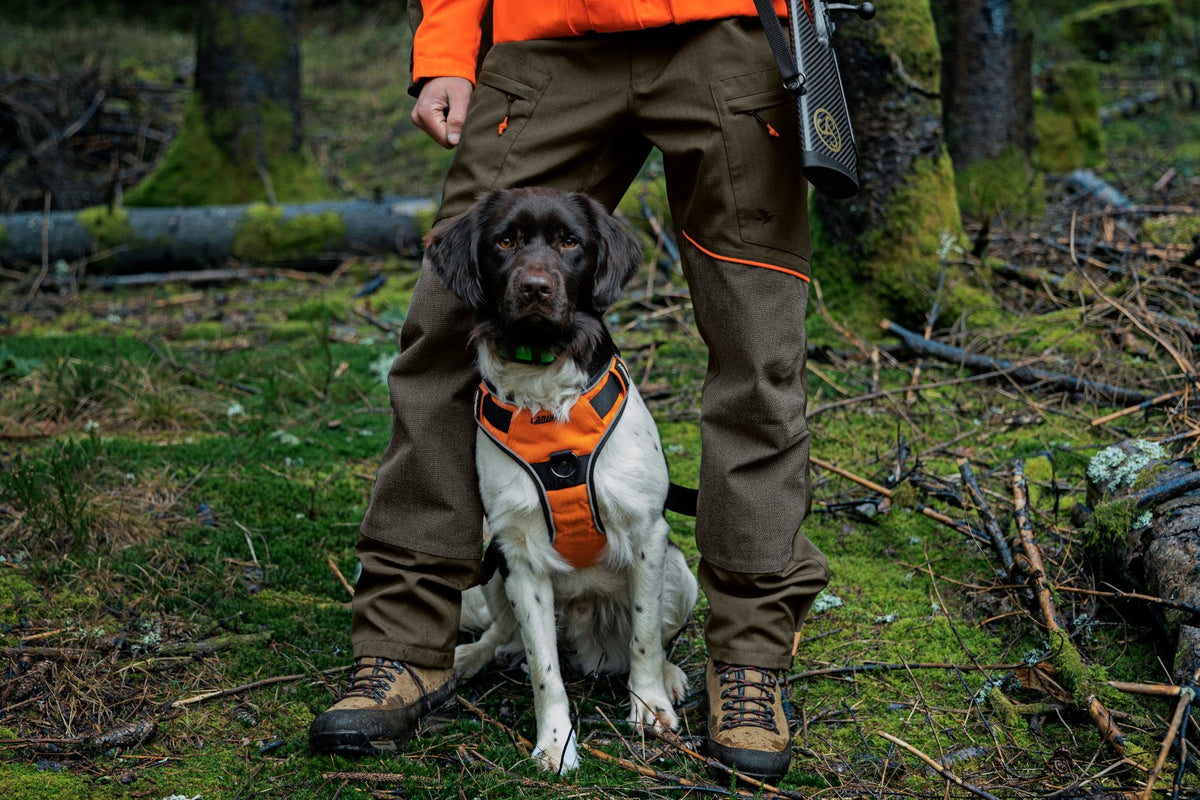 Venture - bukser Pine green/Hi-Vis orange - Seeland