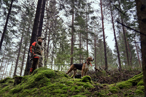 Str. 58 - Pro Hunter Dog Keeper GTX jakke Willow green/Orange - Härkila - Ombytningsvare