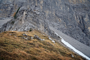 Mountain Hunter Expedition - HWS Packable jakke AXIS MSP®Mountain - Härkila