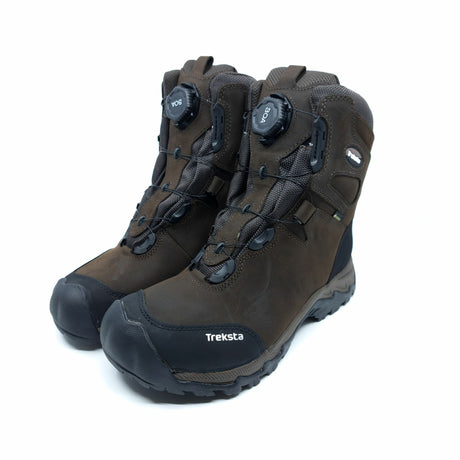 Lynx BOA - 8" GTX - Treksta