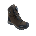 Lynx BOA - 8" GTX - Treksta