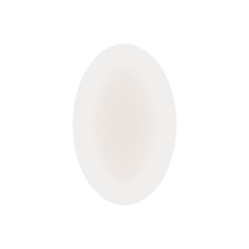 Blister Plasters (6-pack) - Life Systems