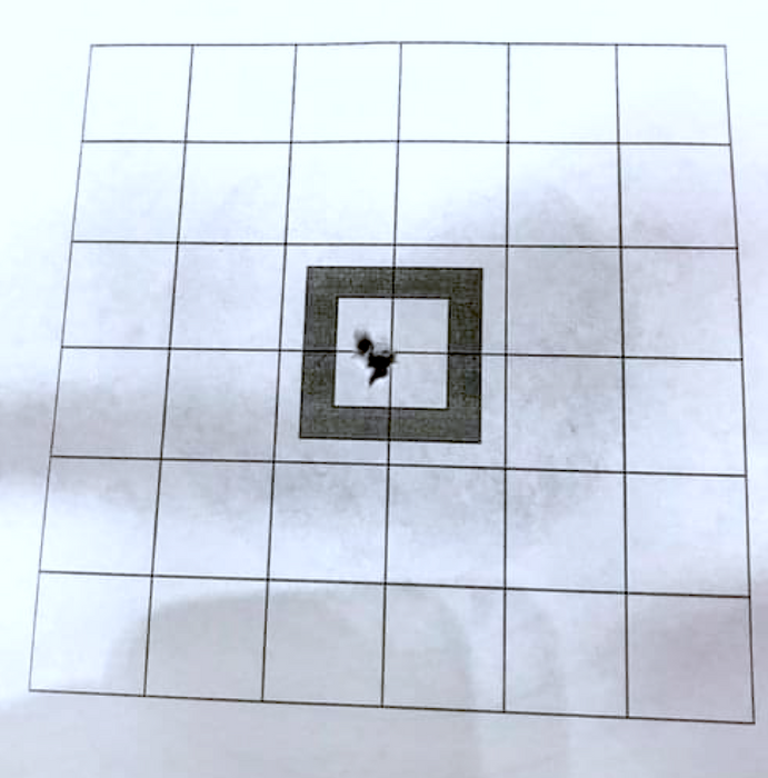 Nieload Max Heavy 4,52mm 750 stk hagl