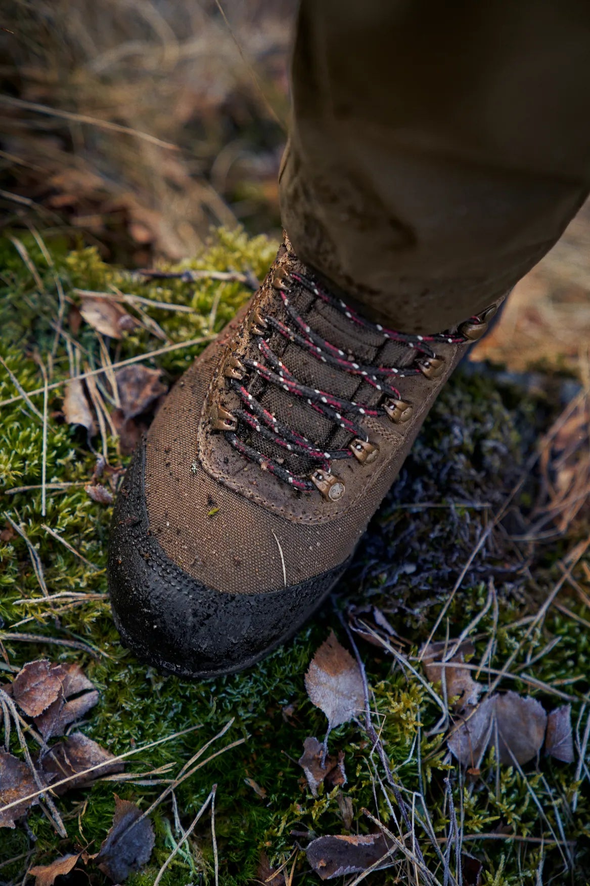 Wildwood 2.0 GTX Women Mid brown - Härkila