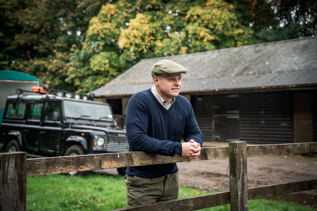 Pine V-Neck Pullover - Light Pine