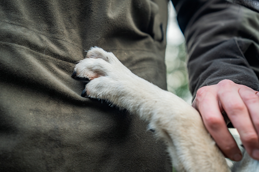 Chaser BGH Smock - Pine green