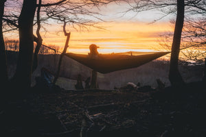 Expedition Hammock Net myggenet til hængekøje - Lifesystems