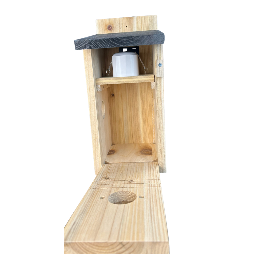 Fuglehus med kamera