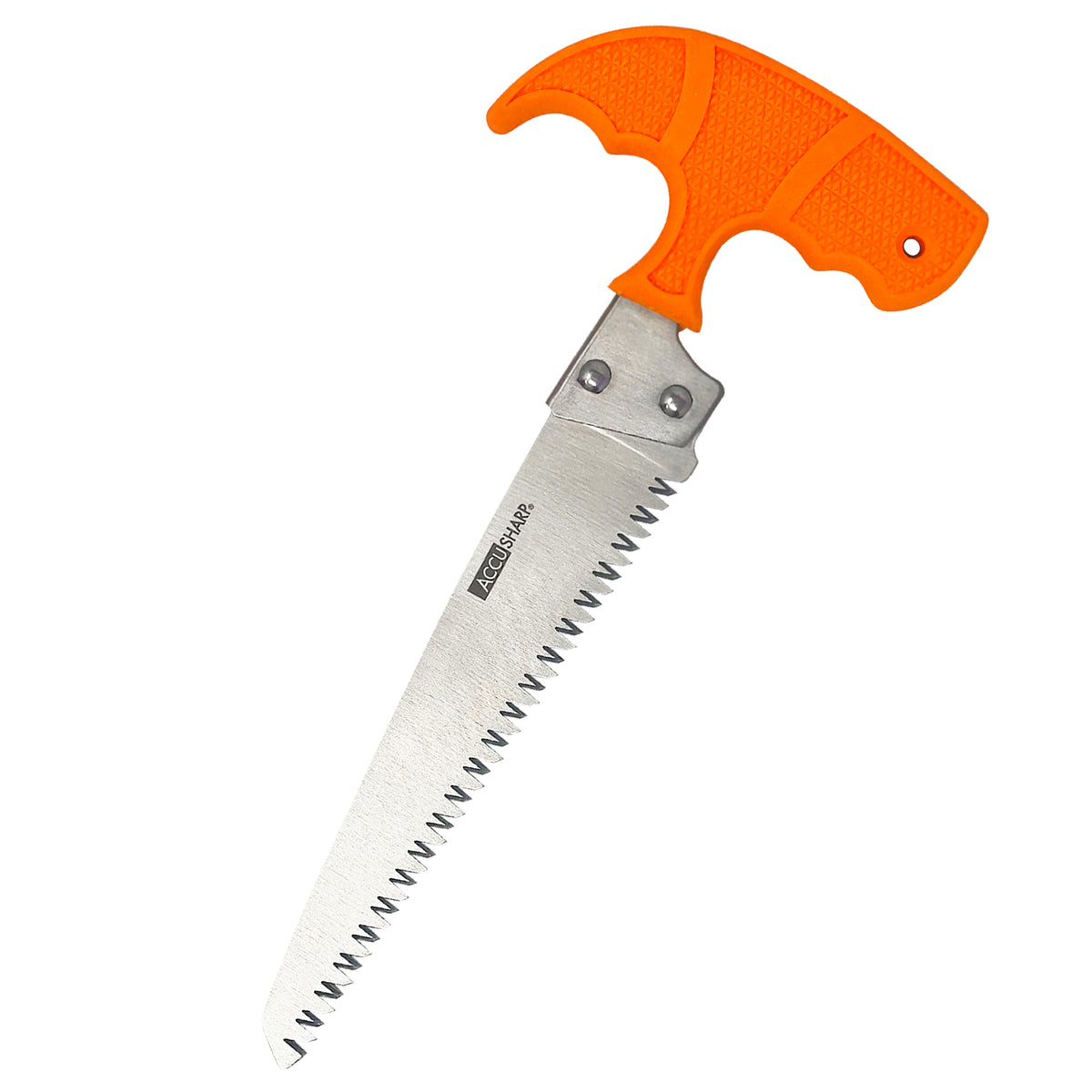 AccuSharp - bone saw 6"