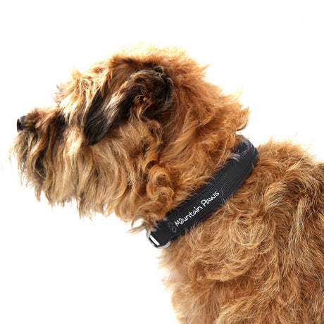 Dog Collar, X-Large, Black - Mountain Paws