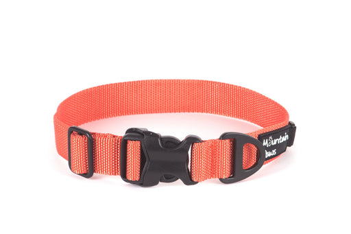 Extra Tough Dog Collar, Small, Orange - Mountain Paws